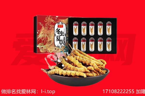 深圳福田区回收虫草.jpg